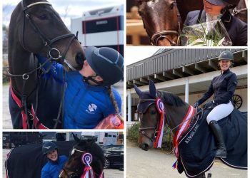 collage_hallmesterskap_unghest_2018