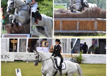 collage_heidi_bratlie_larsen_og_euforian