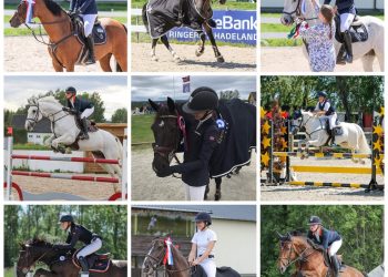 collage_helene__gjerde_aamdal