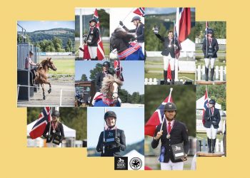 collage_islandshestforeningen