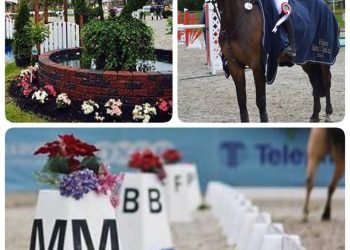 collage_lier_horse_show
