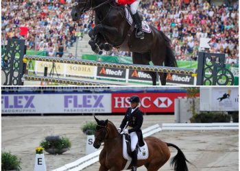 collage_madden_og_klimke