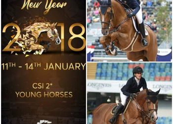 collage_sentower_park