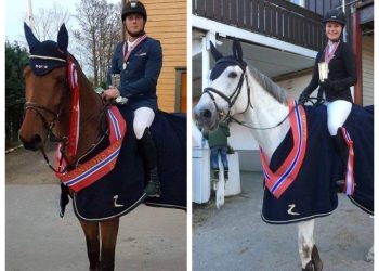 collage_sprang_inm_2016