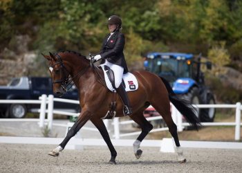 cypress_ann_cathrin_l³bbe_k5w2616