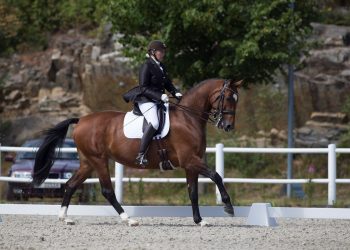 cypress_ann_cathrin_l³bbe_k5w2619