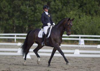 Ridesport