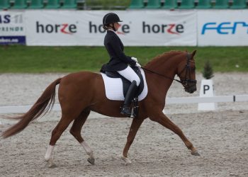 delight_amy_hammer_k6a9382