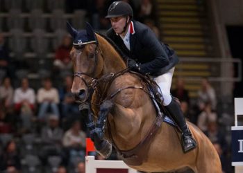 dimaro_vd_looise_heide_dag_ove_kingsroed_k5w0896_crop