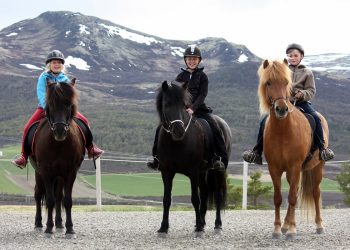 dina_hjerkind_maren_saeterhaug_og_edvard_fodstad_dacke