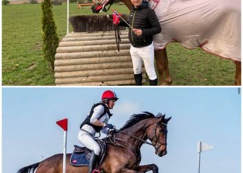 diptic3018830176349187378