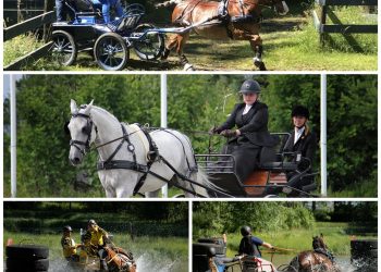 diptic3248410499588207810