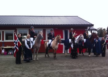 distanse_nm_lag_2015