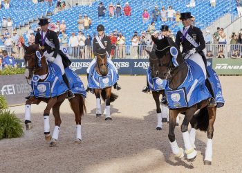 FEI World Equestrian Games™ Tryon USA