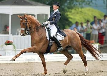 dressur-aachen-kemmer