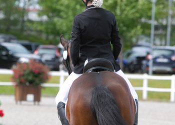 dressur_stemning-2-4_1
