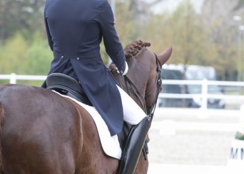 dressur_stemning11_of_9