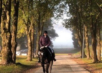 dressur_vallermyrene