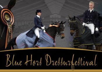 dressurfestival_profilbillede