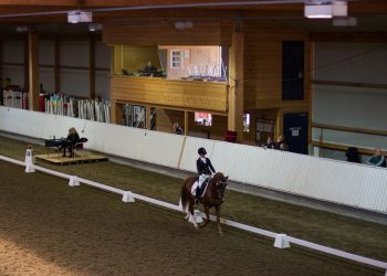 dressurstevne_hoenefoss_img_5868