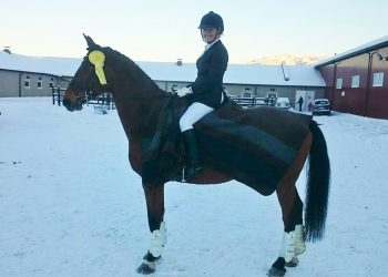 dressurstevne_rosthaug_januar_2016_2