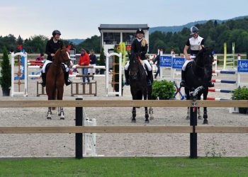 droebak_open_topp_tre_1