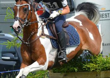 dsc_0108flatner_crop