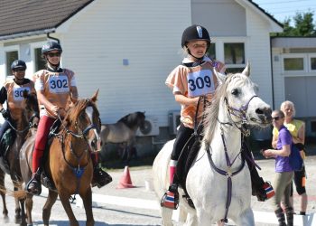 dsc_0570_2_sommerrittet_lav