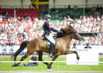 dsc_1538ingridmarie_600