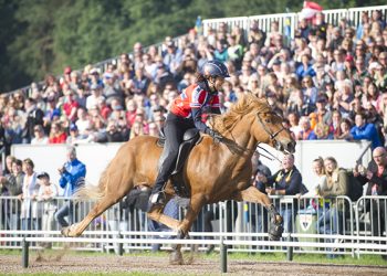 dsc_7706_600_lorna_sneve_annet_gull