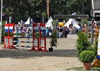 dutch_youngster_festival