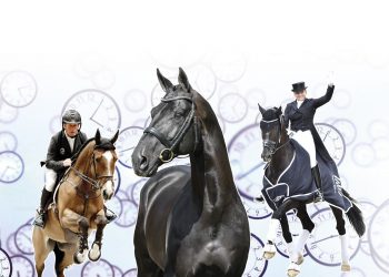 dv_hingstekaaring_foromtale_indgang