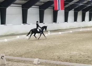 ellen_kristina_hynn_rom_tikka