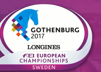 em-goteborg-logo-768x373