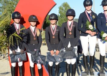 enerponniene_lag_bronse_norge