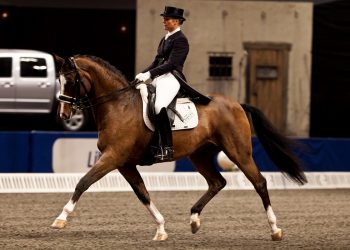 exquis_clearwater_anne_van_olst_mg_0768