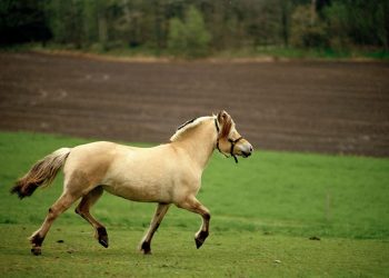 f2de7e40-8f8a-423a-8f6f-f26b5137baab