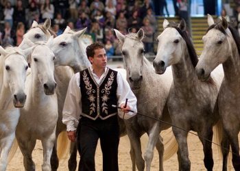 familyshow_lorenzo_etc15102011_0913