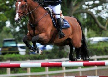 fanny_hjemdal_wallace_og_jonti_2