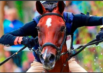 fei-eventing-main-01