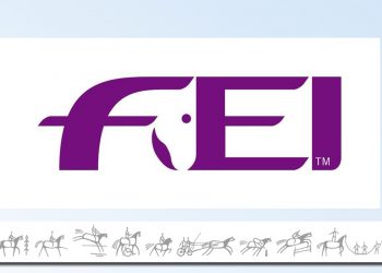 fei_1