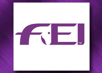 fei_3
