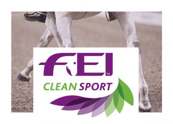 fei_clean_sport