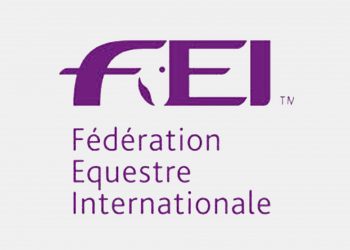 fei_logo