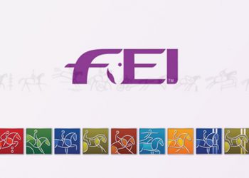 fei_piktogram_edited-1