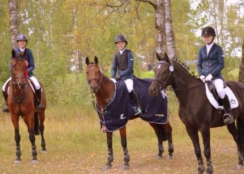 felleskjoepetchampioncup