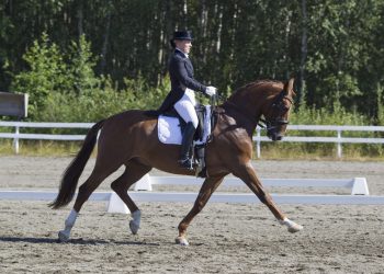 Ridesport
