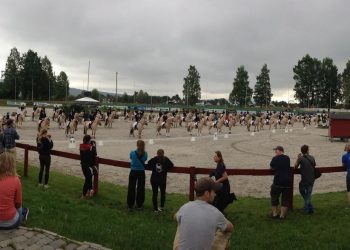 fjordhest_nm_aapning