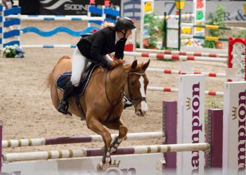 fokus-ga-seier-stort