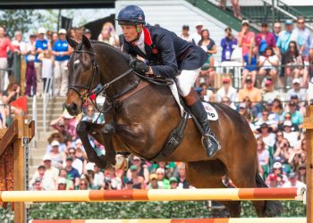 William Fox-Pitt (GBR) and Bay My Hero